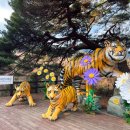 [울산출발]11월19일(목) V-train 철암→분천 + 분천역 + 백두대간수목원 호랑이숲 이미지
