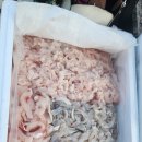 우리 병방에서 오랜친구(필정,종주,미옥,채용,안순이여친까지)생벙을 하려고합니다.간만에 삼천포 회로 넓은 장소 한강입니다. 이미지
