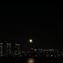 강남닭갈비 이미지