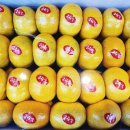 와이마트 하남드림점 이미지