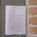 사파동239 이미지