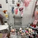 이마트24용인역북점 | 용인 역북동 꽃집 꽃블리 용인역북점 후기｜5만원대 꽃다발 리뷰