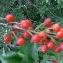 삼보농장 이미지