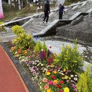 키움꽃조경