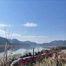 송림일식 | [양산, 경주 당일치기 여행] 순매원/ 일본식 라멘 맛집 무라 후기,,/ 황리단길 경주동