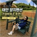 양지펜션 | 꽃지 해수욕장 숙소 양지펜션, 여름밤 그네에 앉아 본 야경