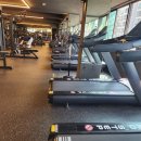 몬스터 피트니스센터 이미지