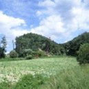 강원도 횡성군 횡성읍 화성로 이미지