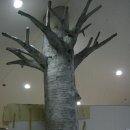 상수리공원 이미지