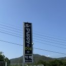 퍼피앤독 | 경남 창녕군 창원 근교 애견카페 퍼피앤독 애견운동장&amp;편집샵 후기 - 대형견 동반 가능, 수영장