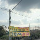 예원농장 | [제주도] 예원이네 귤농장,아이들과 가기 좋은 귤따기 체험.