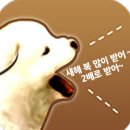 풀마트 이미지