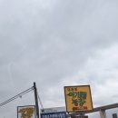 윤기농장 | 강릉 아이와 가볼만한곳 추천 “대관령아기동물농장” 후기