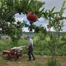 한석농장 이미지