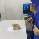 꽃집사 이미지
