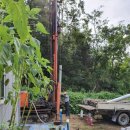 대공농장 이미지