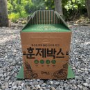 [캠핑용품 솔직후기] 꾸버스 훈제박스로 완성한 미슐랭 요리