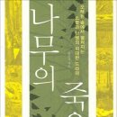고사목 이미지