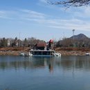 황금비늘 테마거리 이미지