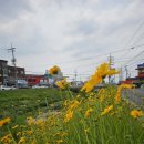 입장 포도길 이미지