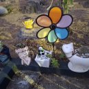 단양별소풍 이미지