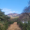 솔밭공원 이미지