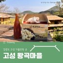 강원도 고성여행 애견동반 가볼만한 곳 고성 왕곡마을