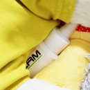 한국애견용품연구소 이미지