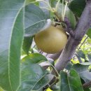 재규농장 이미지