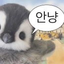 파스토보이반야월 이미지