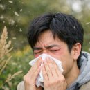 부산물세탁 이미지