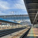 염주종로약국 이미지