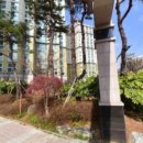 꼬마대통령어린이집 이미지