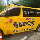 대양 (태권도) 이미지