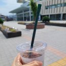 세종 조치원 카페 MODEST IMPACT 25.06.06