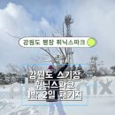 스노보드 | 휘닉스파크 겨울 패키지 내돈내산/ 스노보드 후기