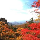 단풍 이미지