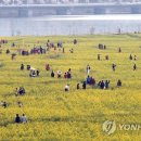 낙동강변17 이미지