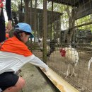 Unforgettable Memories at UK Farm, Kluang! 이미지