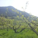 시목농장 이미지