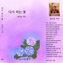 정다운마트