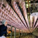 예우농장 이미지