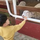 한터농원영농조합 이미지