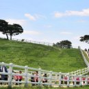 초록빛목장 이미지