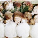 창뜰농장 이미지