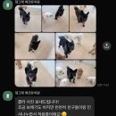 댕그레 이미지