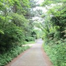 제주 올레길 13코스 이미지