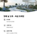 바다와 숲 이미지