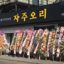 싱싱오리 이미지