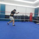 클린히트복싱 소사벌점 이미지